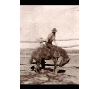 Wild Grace Journals: Australian Bush Heritage Collection