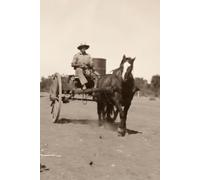 Wild Grace Journals: Australian Bush Heritage Collection