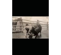 Wild Grace Journals: Australian Bush Heritage Collection