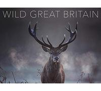 Wild Great Britain