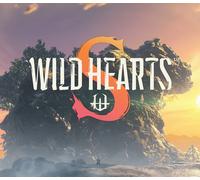 WILD HEARTS S NA Nintendo Switch 2 CD Key