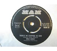 Wild Honey (11) - Wild Honey There's No Stopping Us Now 7" Mam MAM87 EX 1972