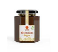 Wild Honey from Madagascar Wet Forests | Handmade and Natural | Exotic and Rich Flavour | Ideal for Toasts and Gourmet Recipes