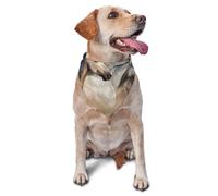 Wild Horse PictureDog Bandanas Cat Puppy Scarfs Washable Pet Handkerchief