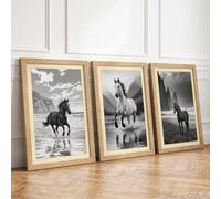 Wild Horses, Coastal Majesty Coastal Set of 3 Framed Wall Art Prints A2