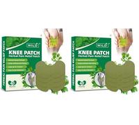 WILD+ Knee Pain Relief Patches, 40PCS Natural Knee Patch for Pain Relief, Wormwood Herbal Pain Relief Patches Heat Patches for Knee/Back/Neck/Shoulder/Joint Pain, Muscle Soreness (Pack of 2)