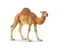 SCHLEICH Wild Life Realistic Dromedary Camel Figurine - Authentic and Highly Detailed Wild Animal Toy, Durable for Education and Fun Play, Perfect for Boys and Girls, Ages 3+, Multicolor, 3.9 inch