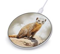 Wild Meerkats Wireless Charger, Fast Charging Pad
