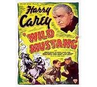 Wild Mustang