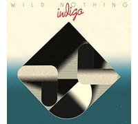 WILD NOTHING - INDIGO [VINYL]