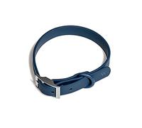 Wild One Collar - Small - Blue
