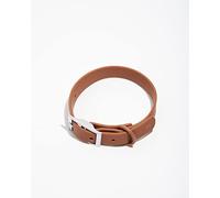 Wild One Collar - Small - Cocoa