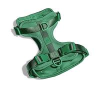 Wild One Harness 2.0 - Large - Spruce