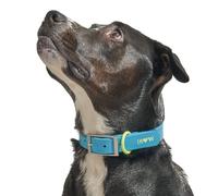 Wild One, Limited Edition, Designer Collection, Blue Dog Collar, Easy-Clean, All Weather Flex-Poly Strap with Metal, Durable, Dirt and Odor Resistant, XLarge
