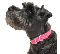 Wild One, Limited Edition, Designer Collection, Pink Dog Collar, Easy-Clean, All Weather Flex-Poly Strap with Metal, Durable, Dirt and Odor Resistant, XL