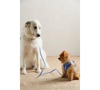 Wild One Rope Leash at Free People in Moonstone