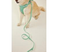 Wild One Standard Pet Leash at Free People in Seafoam