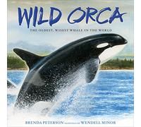 Wild Orca: The Oldest, Wisest Whale in the World