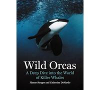 Wild Orcas: A Deep Dive into the World of Killer Whales