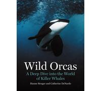 Wild Orcas : A Deep Dive into the World of Killer Whales