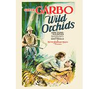 Wild Orchids