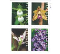 Wild Orchids Book of 20 Forever Postage Stamps Scott 5444
