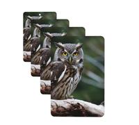 Wild Owl Birds Car Air Fresheners 4 Pcs Rectangle Hanging Car Air Freshener Fragrance Scented Cards Auto Mirror Pendant Aromatherapy Tablets For Car Home Office Closet Bathroom