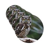Wild Owl Birds Car Air Fresheners 4 Pcs Round Shape Hanging Car Air Freshener Fragrance Scented Cards Auto Mirror Pendant Aromatherapy Tablets For Car Home Office Closet Bathroom