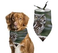Wild Owl Birds Dog Bandana Cozy Soft Triangle Dog Scarf Washable Adjustable Pet Bib Cute Lightweight Breathable Pet Scarf for Small Medium Large Cat Dog Scarves