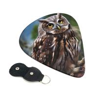 Wild Owl Birds Guitar Picks 6 Pack with Leather Guitar Pick Holder Keychain, Plectrum Key Fob Cases Bag, Abstract Art Plectrum for Acoustic Electric Guitar, Ukulele 0.46mm