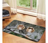Wild Owl Birds Patterned Pet Feeding Mat with Water-Absorbing PU Top & Rubber Base - Anti-Slip Dog Cat Food Mat for Cats, Dogs & Pets, 30x45cm