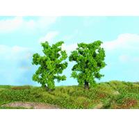 Wild Pear Trees 14cm (2)