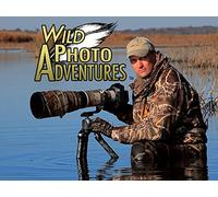 Wild Photo Adventures