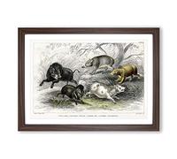 Wild Pig Illustration by Oliver Goldsmith Framed Print | A2 Walnut Framed Wall Art | Ready to Hang | Modern Nature Picture | Living Room Bedroom Lounge Office