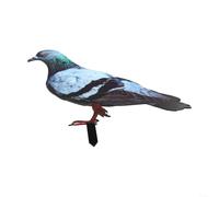Wild Pigeon for sculpture Realistic Feathers Deterrent Decor(B)