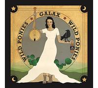 Wild Ponies - Galax [New Vinyl LP]