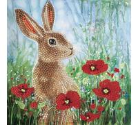 Wild Poppies and the Hare, 18x18cm Crystal Art Card