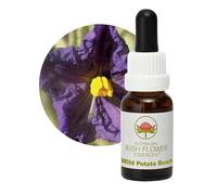 Wild Potato Bush 15 ml Stockbottle Australian Bush Flower Essences