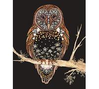 Wild Press - Barn Owl Blank Greeting Card with Envelope