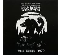 wild psychotic teen sounds!: ohio djs 1979 LP