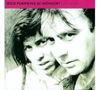 Wild Pumpkins at Midnight - Lost in Shadows Grey