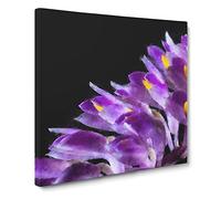 Wild Purple Orchid Flowers Canvas Print | Gallery Wrapped 30mm Frame Wall Art | 14x14 inches | Ready to Hang | Modern Floral Picture | Living Room Bedroom Lounge Office