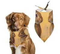 Wild Rabbits Hares Pet Bandana Dogs Triangle Scarf Cats Handkerchief Puppy Costume