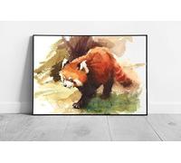 Wild Red Panda Exploring Watercolour Animal Painting Illustration Wall Art Print on Paper Framed Picture print Grey Frame 17x11In (43x28cm)