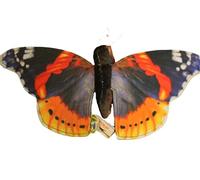WILD REPUBLIC - 28285 Butterfly Admiral Butterfly 38.5 cm Polyester with Finger Pocket