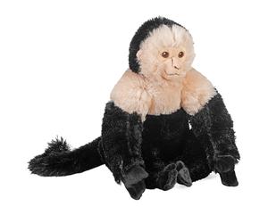 Wild Republic Cuddlekins Eco White Faced Capuchin, Stuffed Animal, 12 Inches, Plush Toy, Eco-Friendly