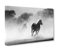Wild Running Horses Canvas Print | Gallery Wrapped 30mm Frame Wall Art | 24x16 inches | Ready to Hang | Modern Animals Picture | Living Room Bedroom Lounge Office