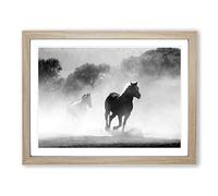 Wild Running Horses Modern Framed Print | A4 Oak Framed Wall Art | Ready to Hang | Modern Animal Picture | Living Room Bedroom Lounge Office