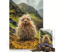 Wild Scottish Haggis Jigsaw Puzzles 1000 Pieces for Adults Mind Power Mind Soothing Fun Uniform Edges Thoughtful Gift (50x75cm)