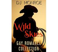 Wild Skies Gay Romance Collection